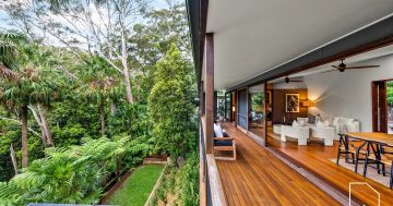 Introducing Otford's tiered rainforest oasis