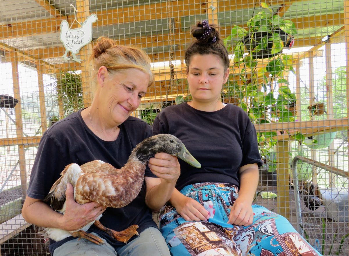 Amie McKay with her daughter Claire and personality-plus duck, Quack, at Calm the Farm in Albion Park. 