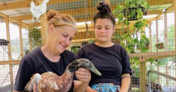 Kids a bit wound up? Take them to Calm the Farm