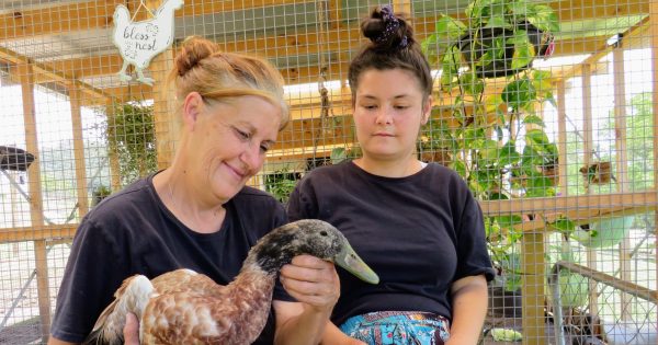 Kids a bit wound up? Take them to Calm the Farm