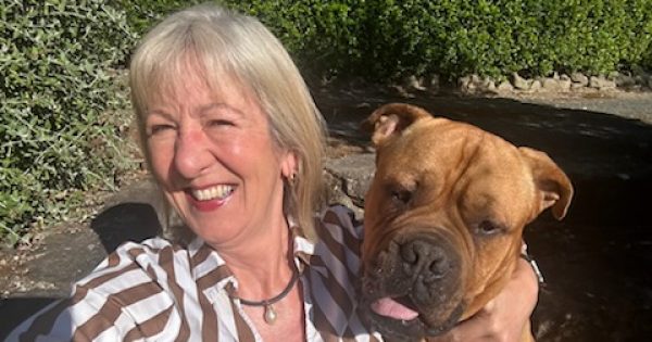 Here's how a new service has helped 700 pets like Derek find homes