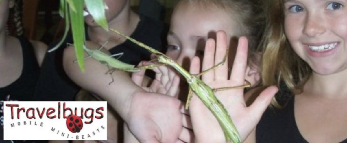 Children hold insects