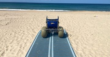 Holiday at Home: Shellharbour leads the way in accessible holiday experiences