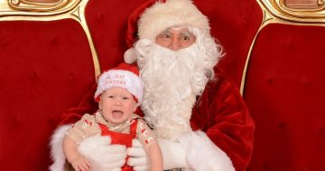 Do you have a serial Santa photo screamer? There's still hope for capturing a happy festive snap