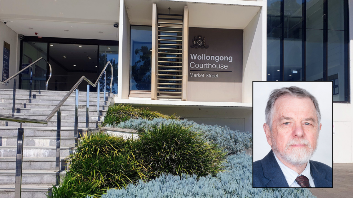 Darla loves humans, activities and play - in that order please.