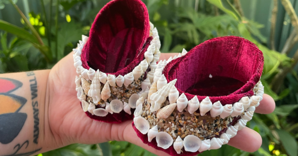 Let's Try... Shell Art at Wollongong Library (Ages 18+)