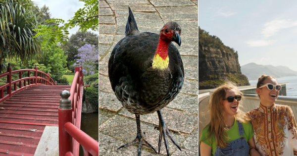 QUIZ: Who gifted this bridge to Wollongong residents? Plus 9 other questions