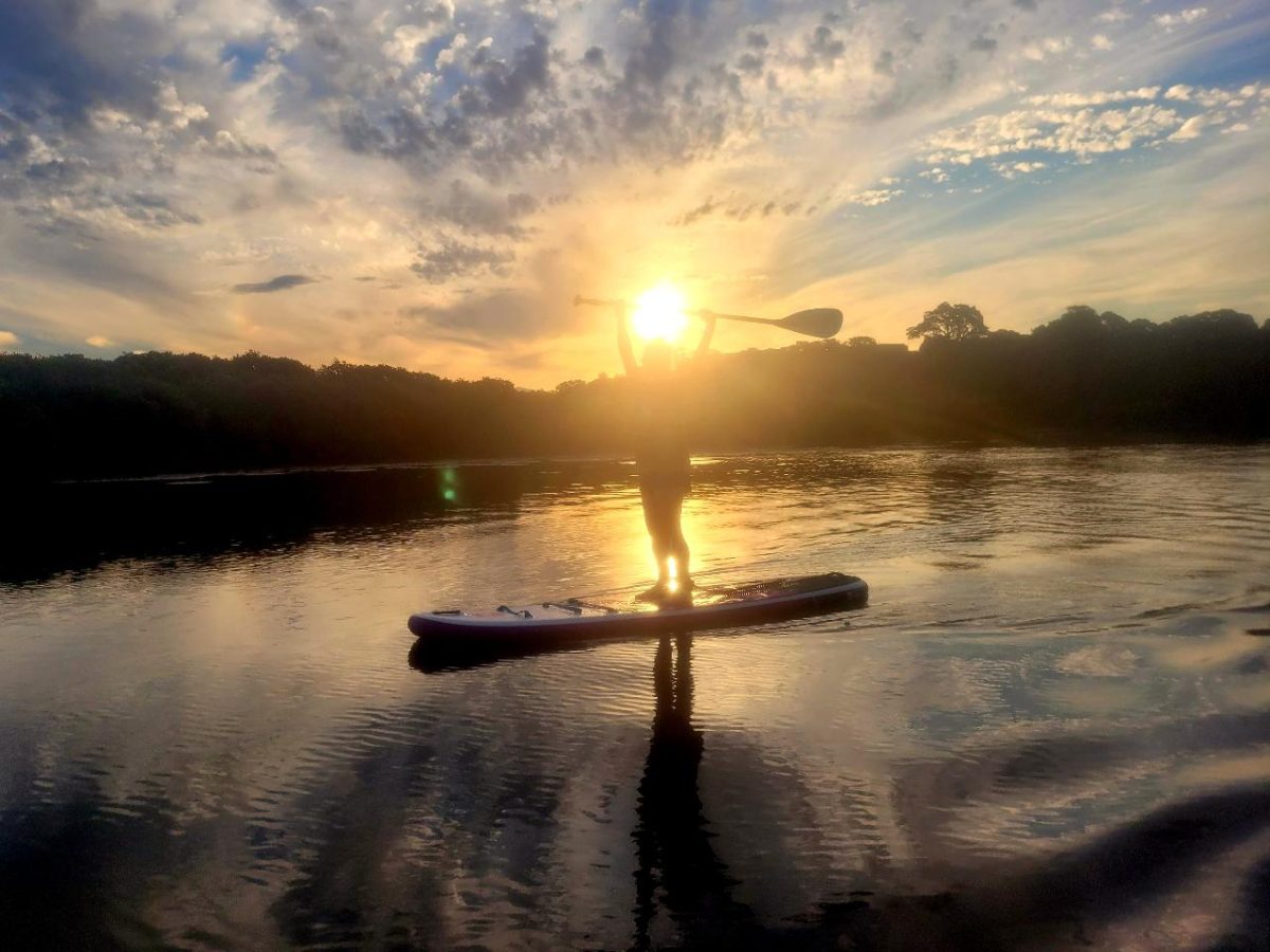 Stand Up Paddleboarding Shellharbour holds SUP experiences from dawn to dark at Minnamurra River.
