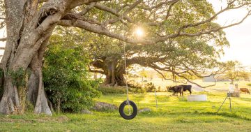 After your own slice of paradise? Check out this Kiama property