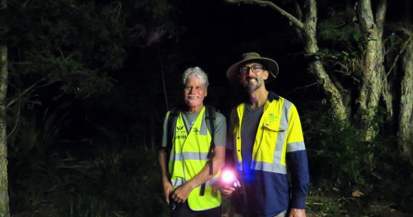 Take a sneak peek at some of Wollongong's after-dark superstars