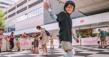 Nine things to do in the Illawarra this week (16 - 22 January)