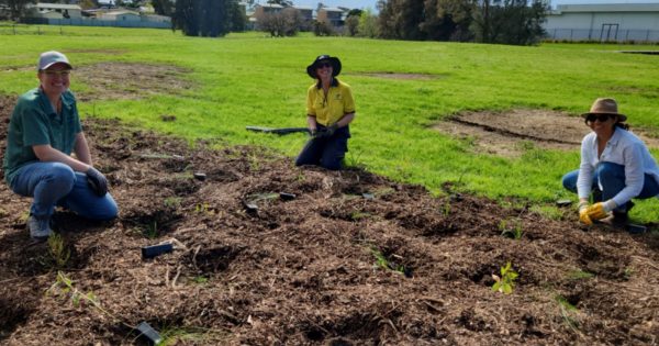 Major creek rehabilitation project completed at Bensons Creek in Warilla