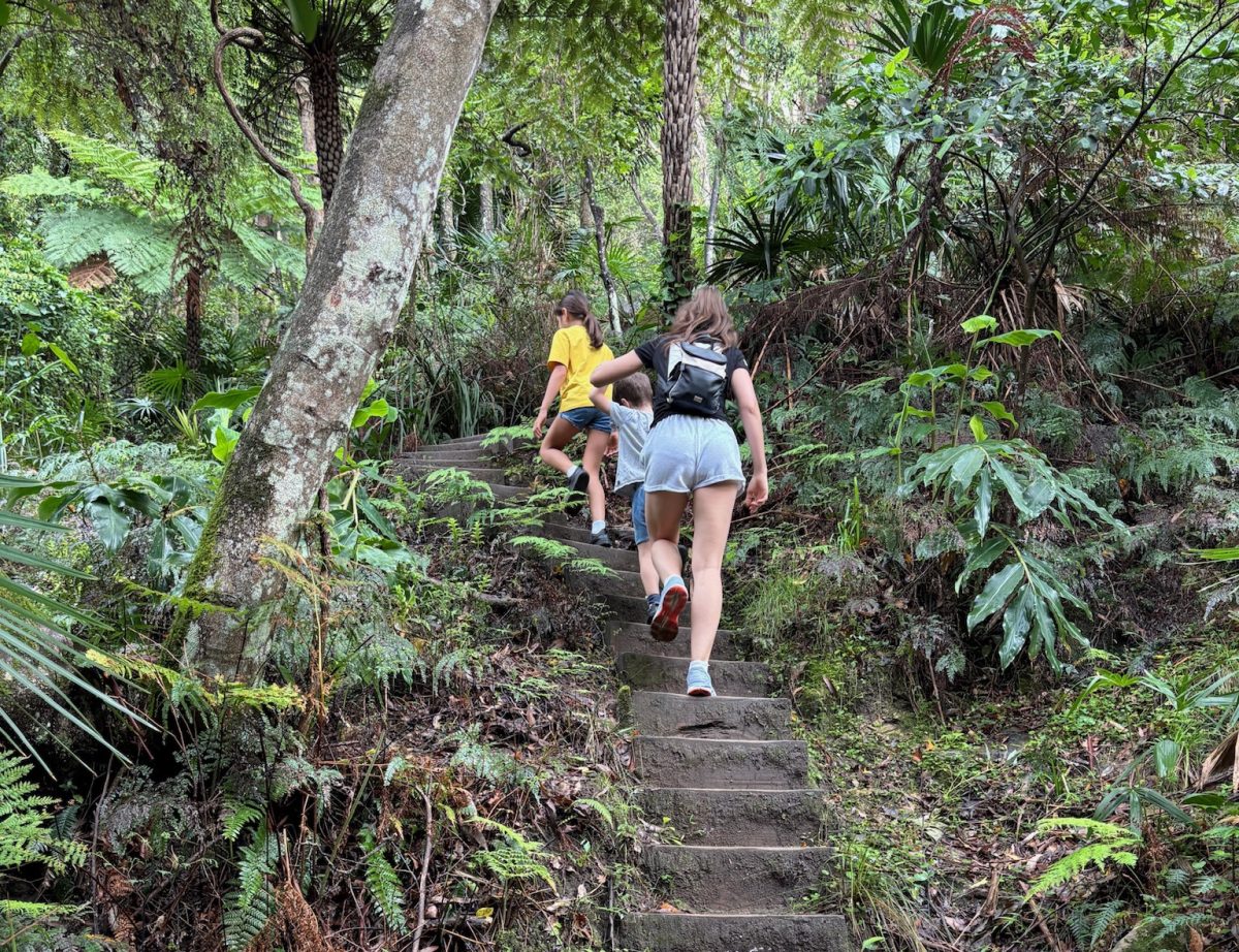 People walk the steps of Sublime Point walking track
