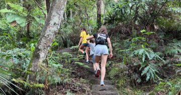 Sublime Point walking track closed this week