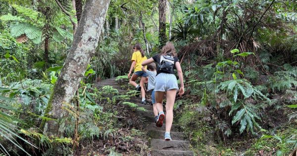 Sublime Point walking track closed this week