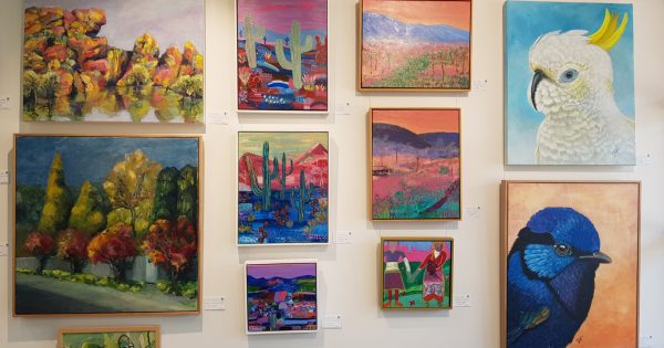 Shellharbour artists shine in new Art in the Village exhibition and workshop series