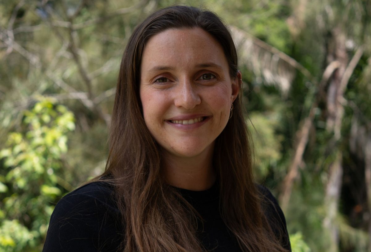 Brianna Reeves Run Rabbit Books