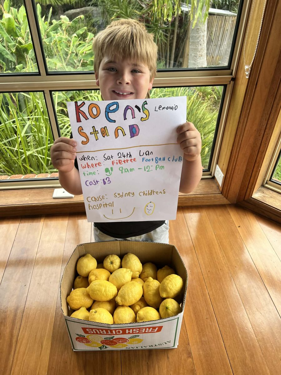 A young boy holds up a home-made sign advertising a lemonade stand. Below the sign is a box of lemons.