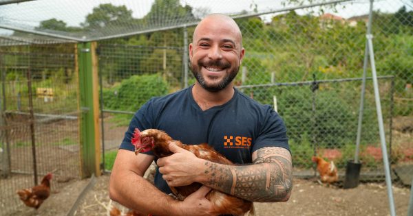 Here's how to prepare your pets for storm season