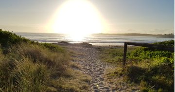 Illawarra urged to check on neighbours as extreme heat survey launches