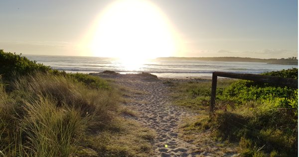 Illawarra urged to check on neighbours as extreme heat survey launches
