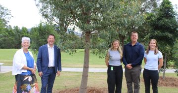 1500 new trees to 'Green the Gong' and shade Illawarra's growing suburbs