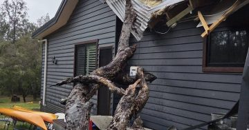 Campers told to move to higher ground as more rain lashes the coast