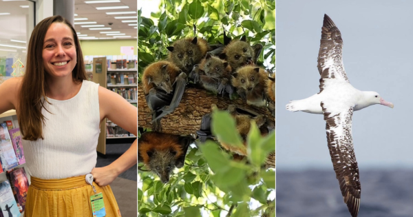 QUIZ: What's special about this long-winged bird? Plus 9 other questions