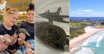 QUIZ: How big do leeches grow? Plus 9 other questions