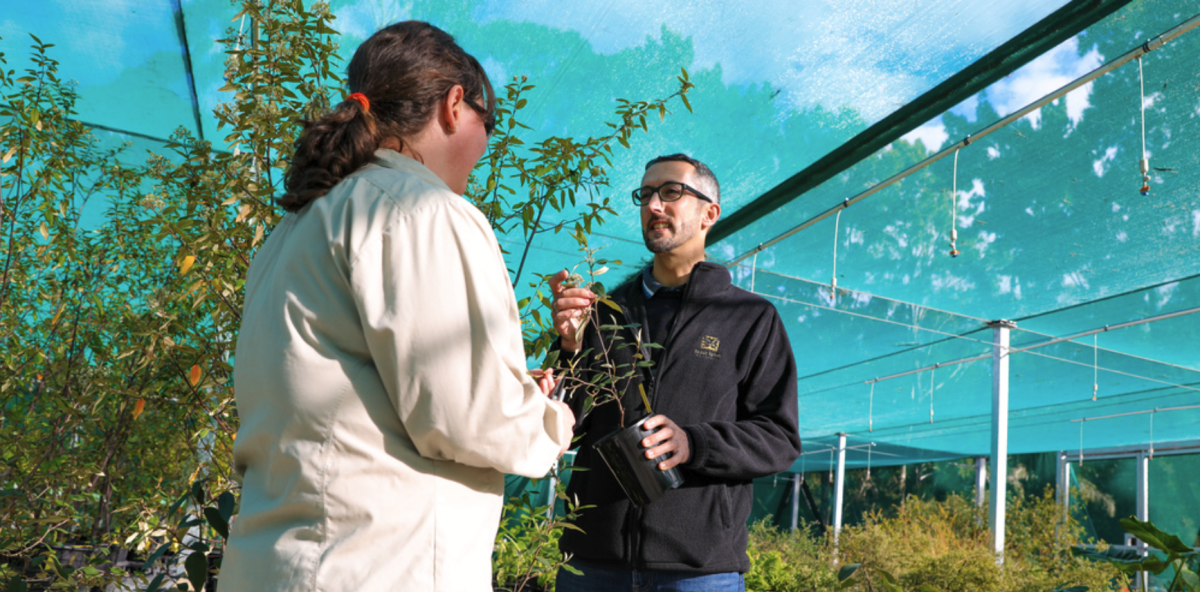 People talk among plants
