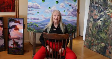 Shellharbour Airport takes off with inaugural art exhibition in terminal