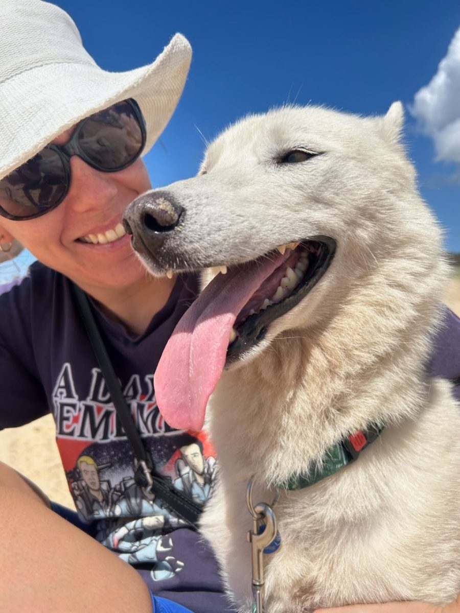 Siberian husky Crystal