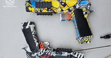 Horsley man arrested after firearms bust