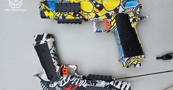 Horsley man arrested after firearms bust