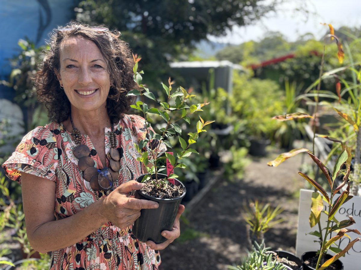 Rebekah Mclean at The Niche Nursery