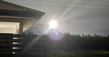 Truck crash causes traffic chaos on M1 at Dapto