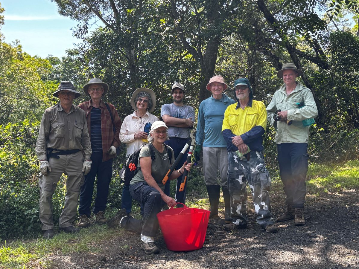 Group of people about to garden
