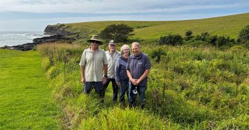 New Kiama Landcare groups calling for community help to manage environment