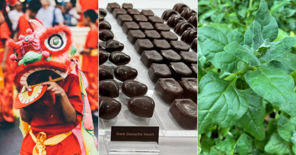 QUIZ: What's so special about cocoa? Plus 9 other questions