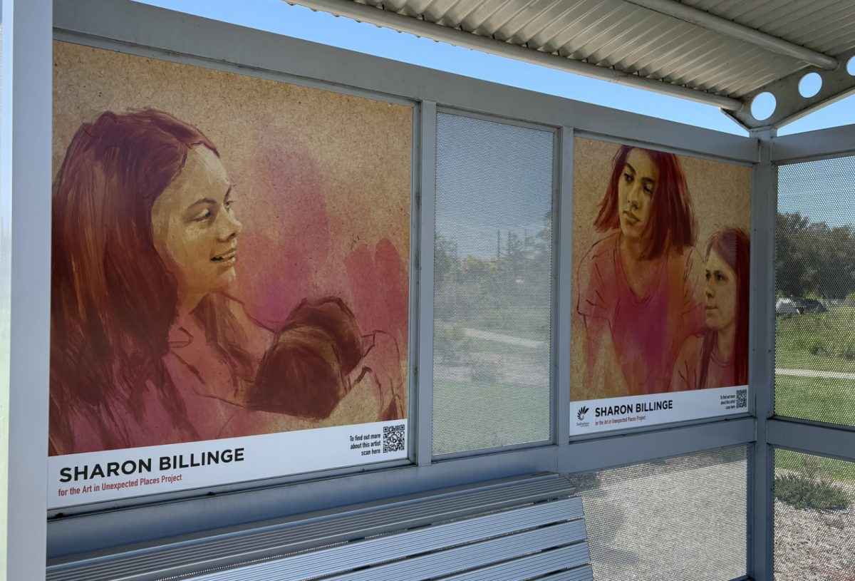 Sharon Billinge bus shelter art