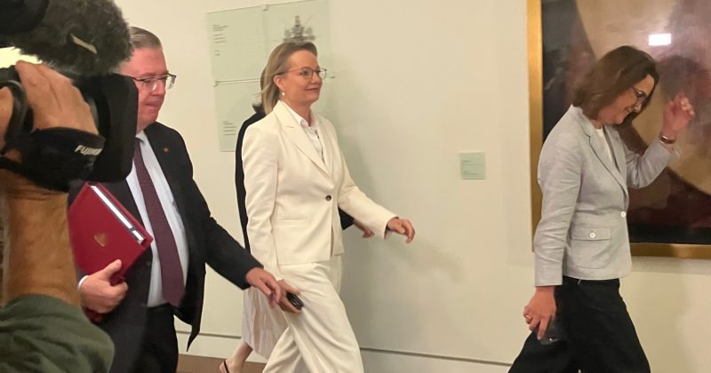 Sussan Ley exits Federal Parliament without a valedictory speech; sparks imminent by-election