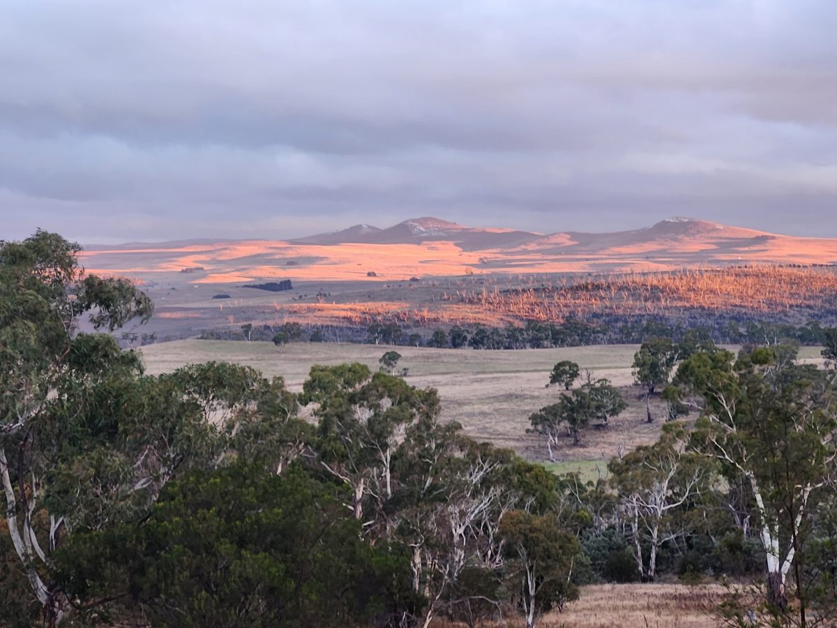 view of two brothers peaks near Cooma