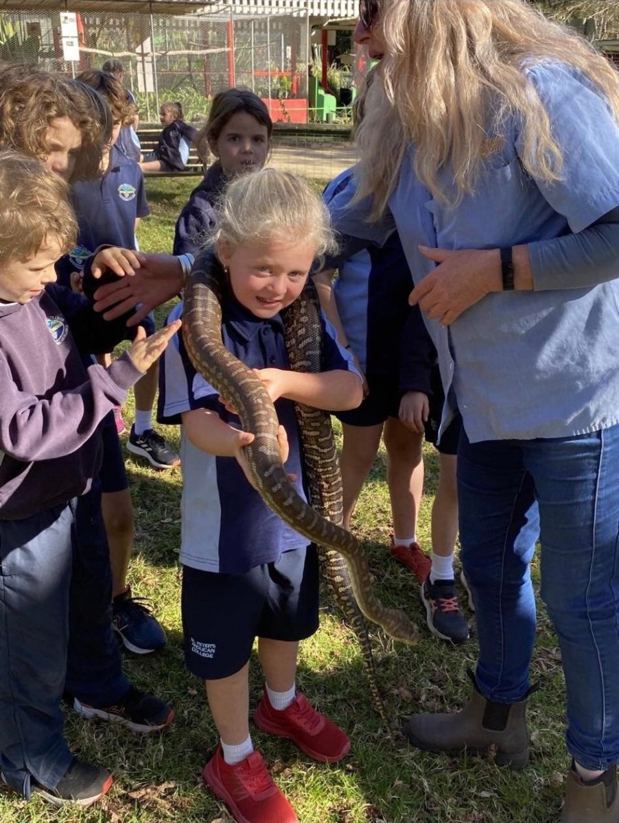 Ruby Morris has a close encounter with a diamond python at Birdland Animal Park. 