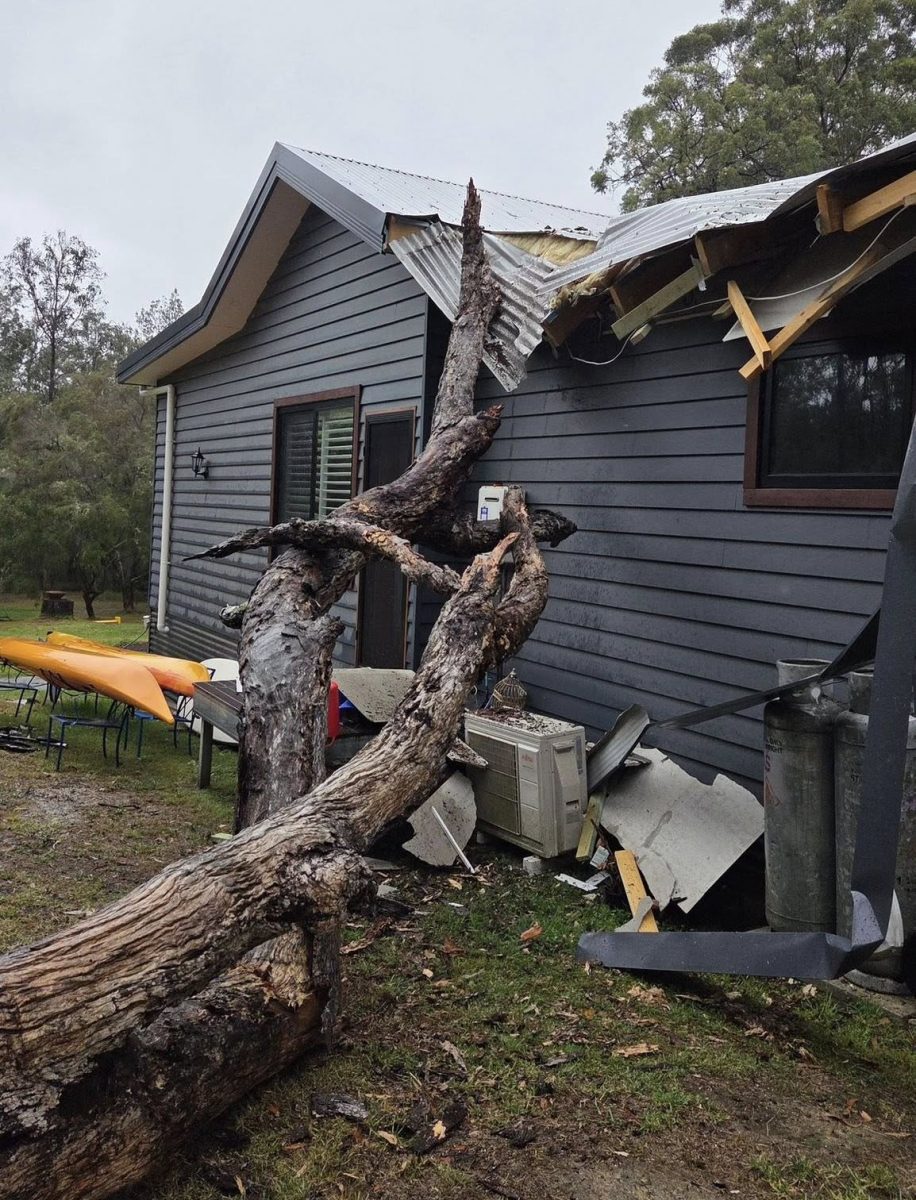 fallen tree on a home